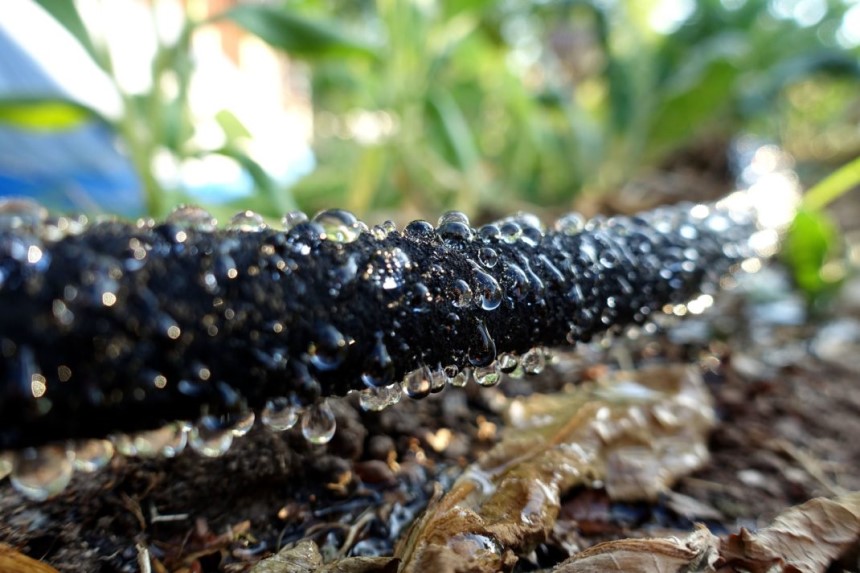 How to Use a Soaker Hose: 4 Tips to Grow Healthy Plants