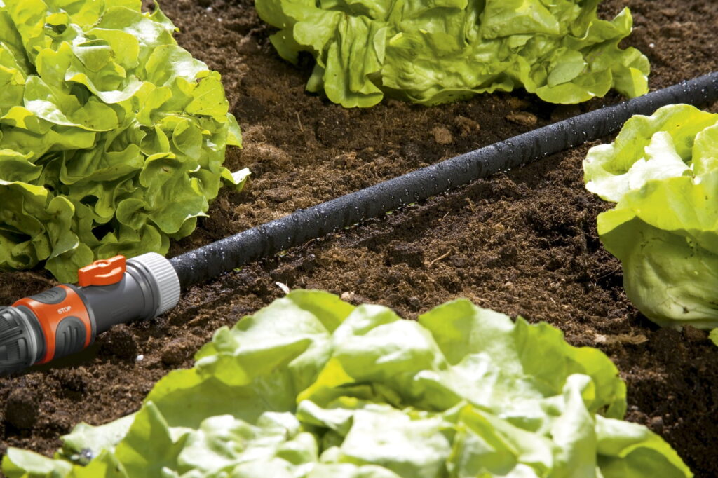 How to Use a Soaker Hose: 4 Tips to Grow Healthy Plants