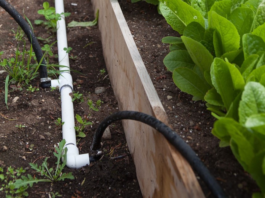 How to Use a Soaker Hose: 4 Tips to Grow Healthy Plants