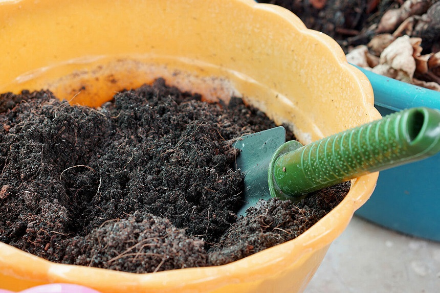 Potting Soil vs Garden Soil: Choose Wisely!