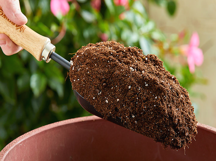 Potting Soil vs Garden Soil: Choose Wisely!