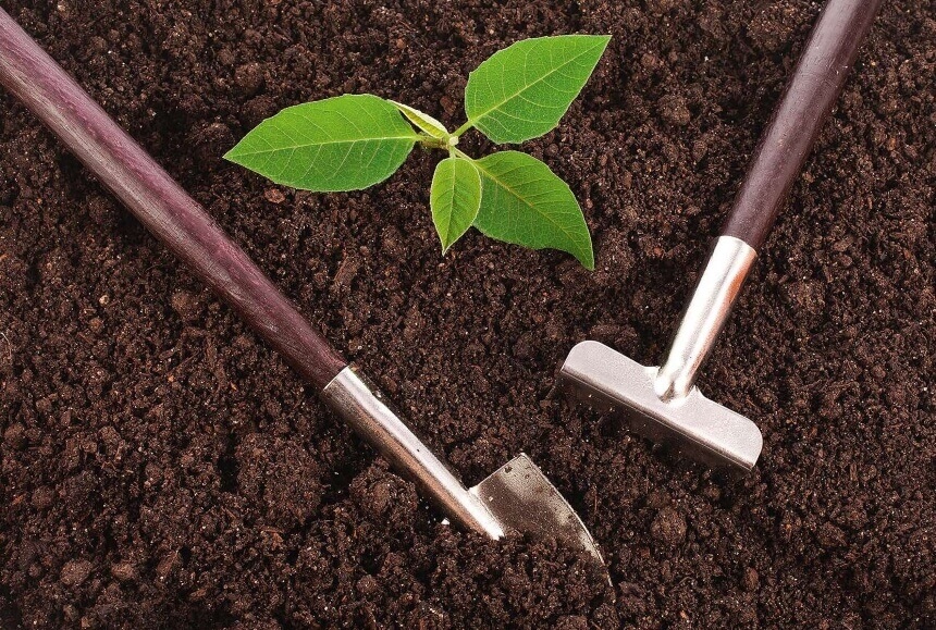 How to Sterilize Soil: Tips from Professionals!