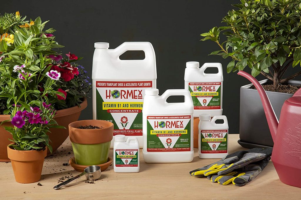 5 Best Rooting Hormones Every Gardener Should Have (2023)
