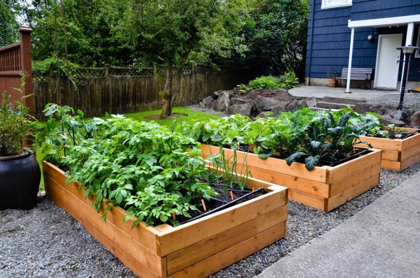 Raised Bed Greenhouses: How and When Should You Use One?