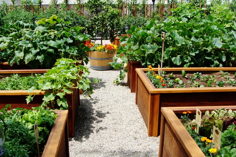 Raised Bed Greenhouses: How and When Should You Use One?
