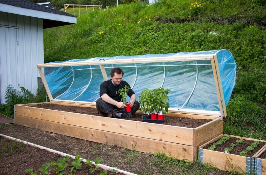 Raised Bed Greenhouses: How and When Should You Use One?