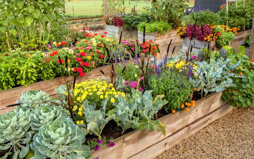 Raised Bed Greenhouses: How and When Should You Use One?