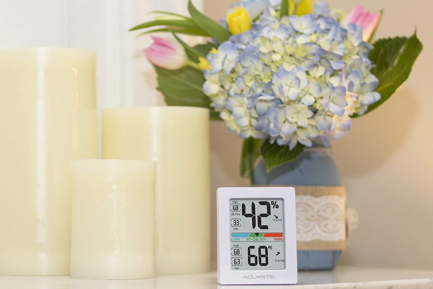 5 Best Greenhouse Thermometers and Hygrometers for Keen Gardeners (Summer 2023)