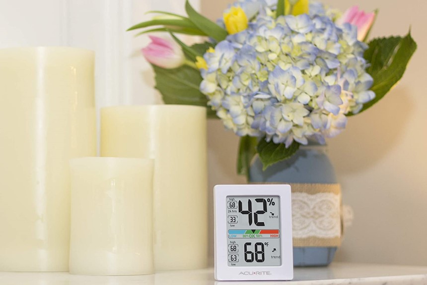 5 Best Greenhouse Thermometers and Hygrometers for Keen Gardeners