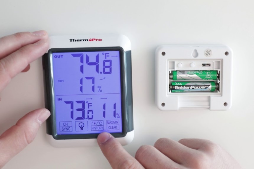 5 Best Greenhouse Thermometers and Hygrometers for Keen Gardeners