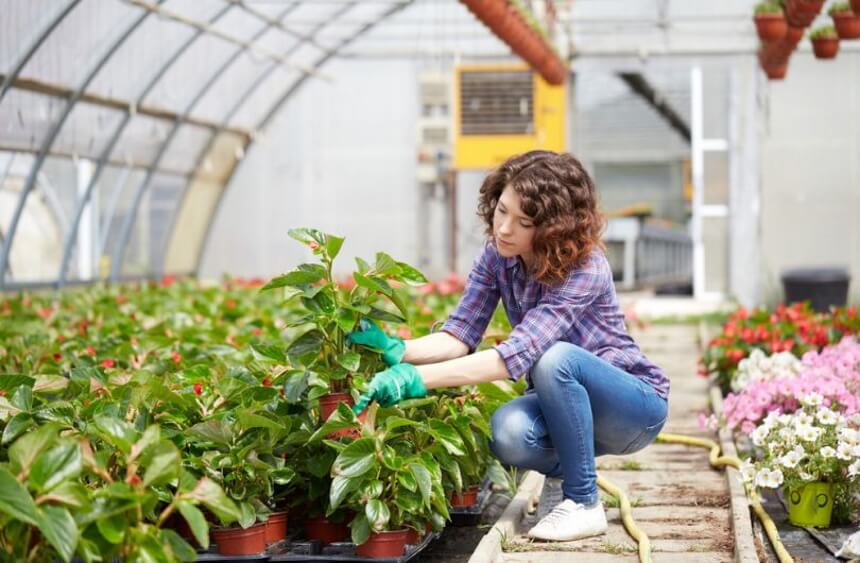 How to Winterize a Greenhouse in 4 Steps: A Comprehensive Guide