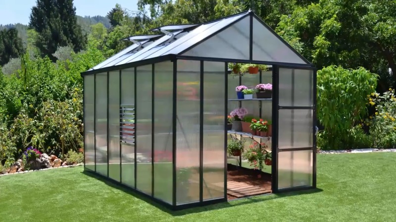 Palram Glory Greenhouse Review: Healthy Plant Growth in All Weathers