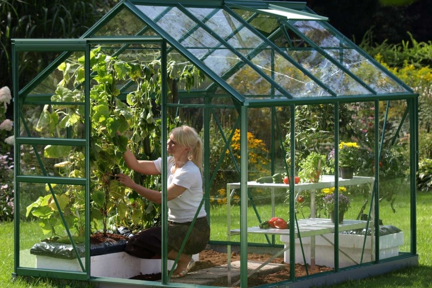 Greenhouse Sizes: How to Choose It Right?