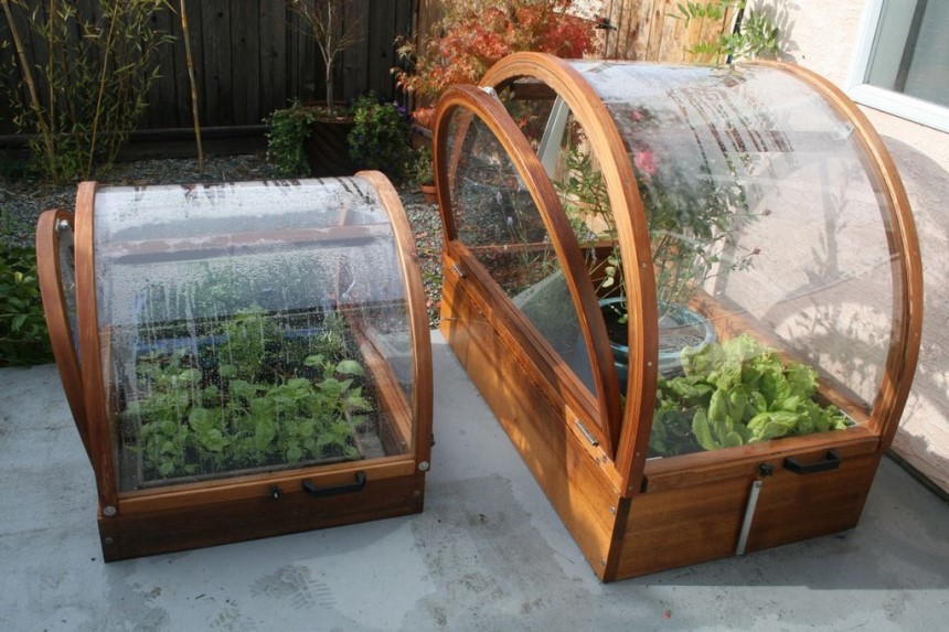 Greenhouse Sizes: How to Choose It Right?