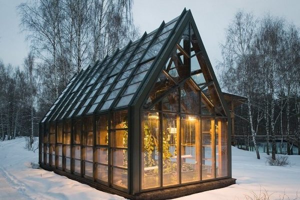 How Does a Greenhouse Stay Warm? Science Behind It!