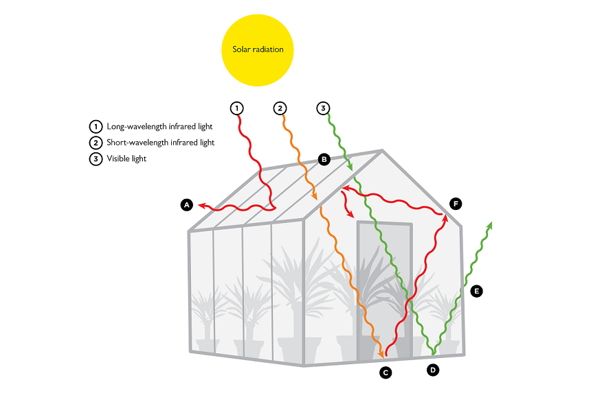 How Does a Greenhouse Stay Warm? Science Behind It!