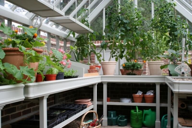 Greenhouse Shelving Ideas: Best Ways to Optimize the Space
