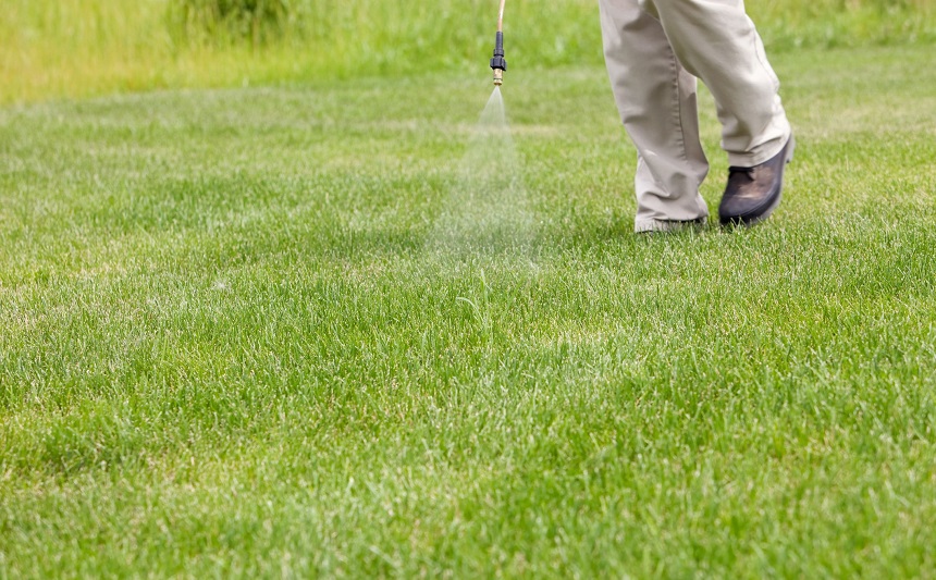 How to Get Rid of Crabgrass? Simple Tips and Tricks!