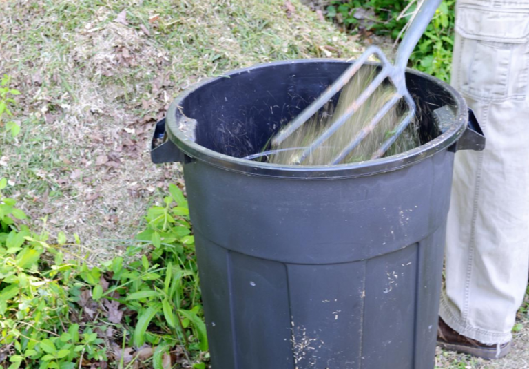 Composting Without a Bin Try These Easy Tricks
