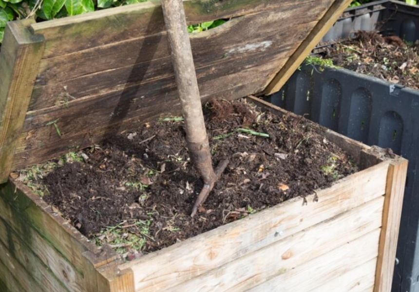 How to Shred Cardboard for Compost? Simple Instructions and Tips!