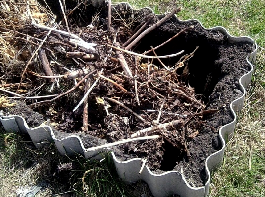 How to Speed up Composting: Tips from Professionals