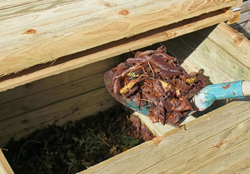 How to Speed up Composting: Tips from Professionals