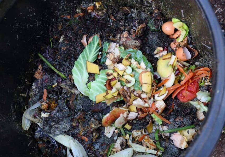 How to Speed up Composting: Tips from Professionals