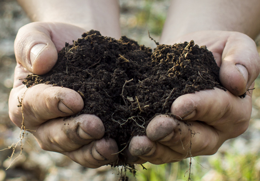 How to Speed up Composting: Tips from Professionals