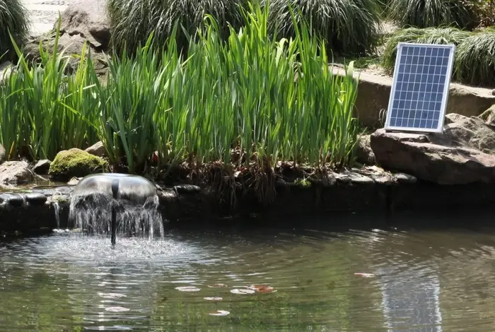 best solar pond pump