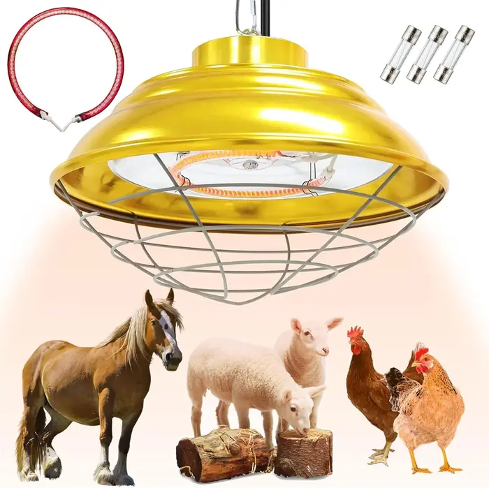 Olyer Heat Lamp for Chickens