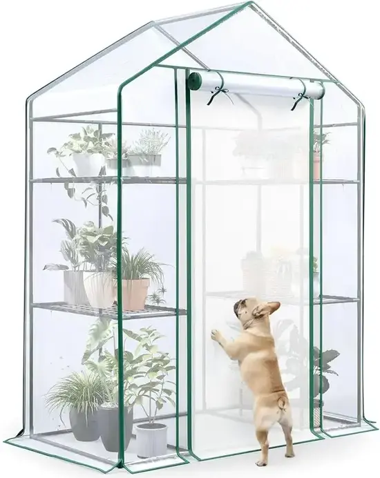 Quictent Miniature Greenhouse