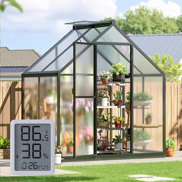 Sylviera Small Greenhouse